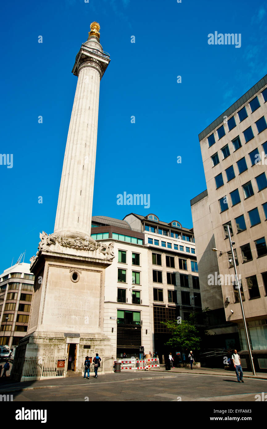 Monument au Grand Incendie de Londres, 202 ft de haut colonne dorique romain en pierre marquant l'emplacement où le feu a démarré, London, UK Banque D'Images