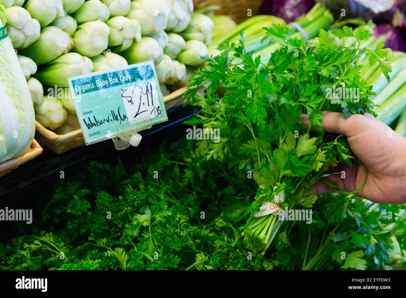 Le choix de l'homme le persil dans l'échoppe de marché Banque D'Images