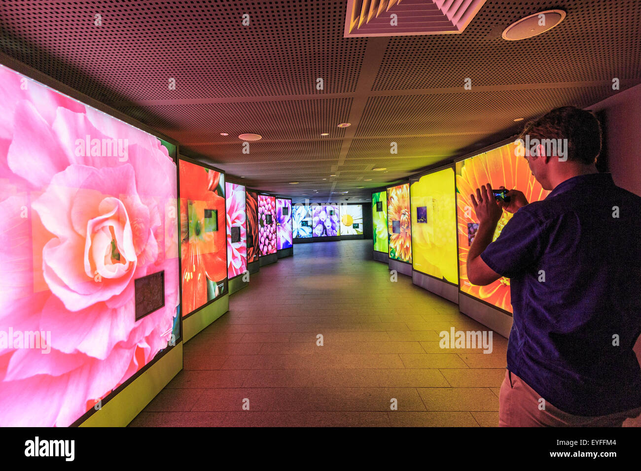 Entrée du Dôme de fleurs, l'un des jardins dans les jardins de la baie Banque D'Images