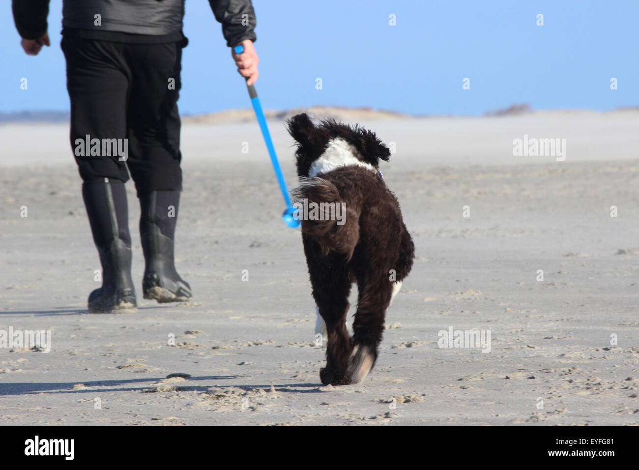 Un homme qui marche avec un chien sur la plage lors d'une journée ensoleillée en hiver (taille) Banque D'Images