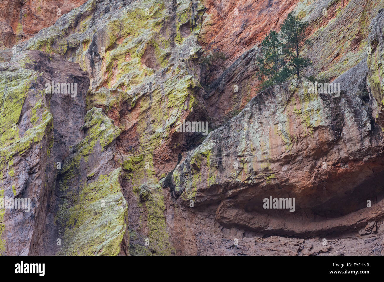 Les falaises rocheuses colorées dans Cave Creek Canyon, Arizona, Portail Banque D'Images