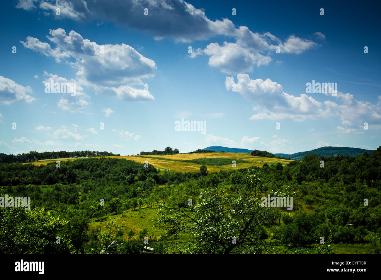 Beau paysage quelque part en Roumanie dans un jour nuageux d'été Banque D'Images