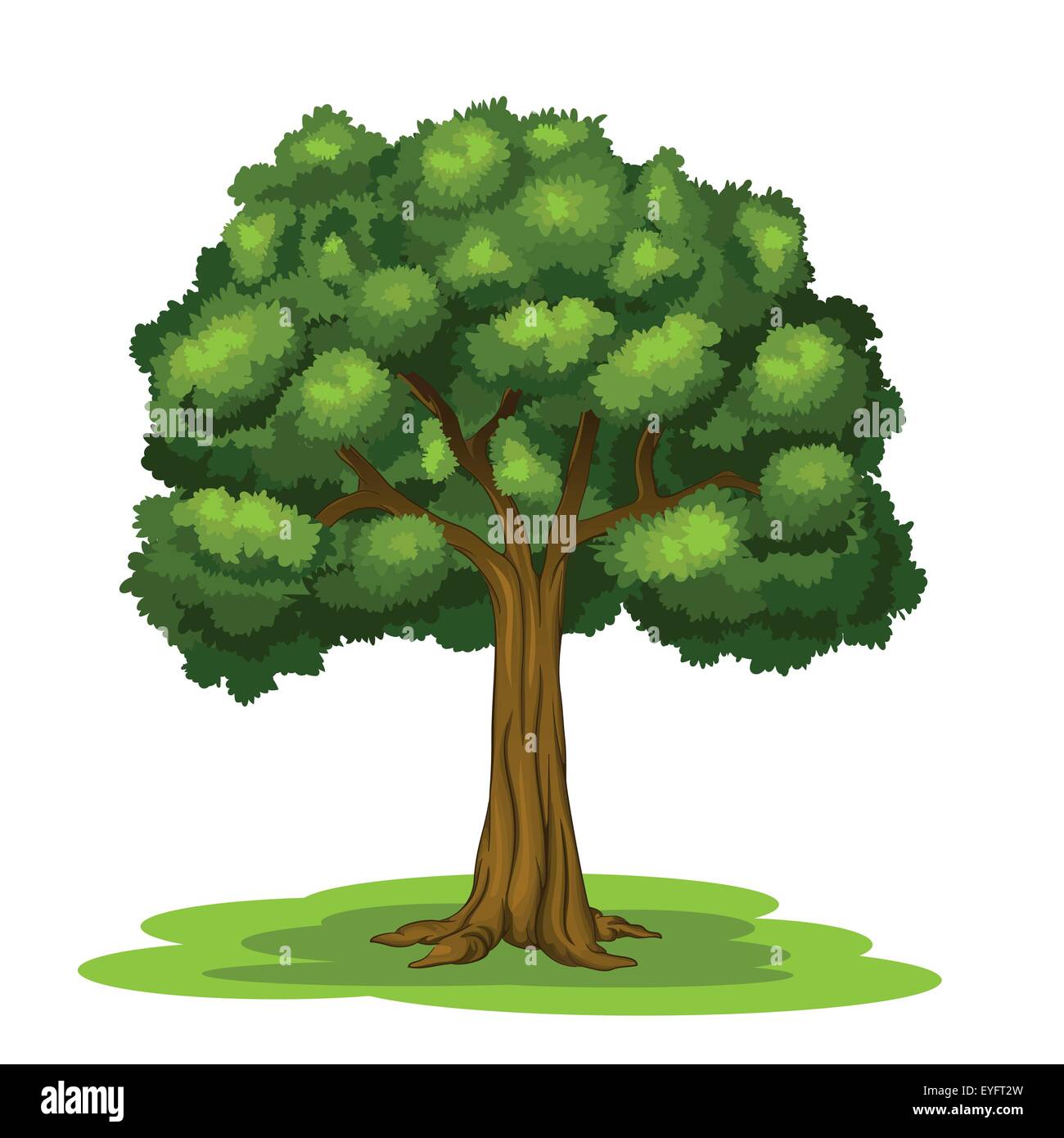 Big tree in front of white background Vector vecteurs Illustration de Vecteur