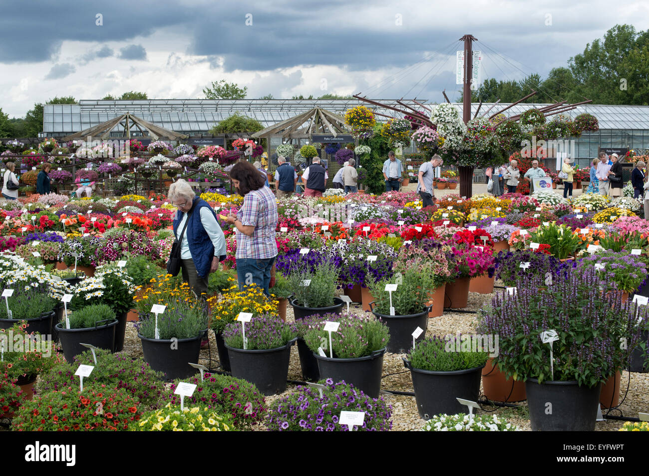 Ball Colegrave jardins ouverts jour 2015. Adderbury, Banbury, Oxfordshire. L'Angleterre Banque D'Images