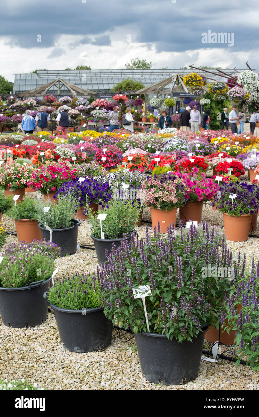 Ball Colegrave jardins ouverts jour 2015. Adderbury, Banbury, Oxfordshire. L'Angleterre Banque D'Images