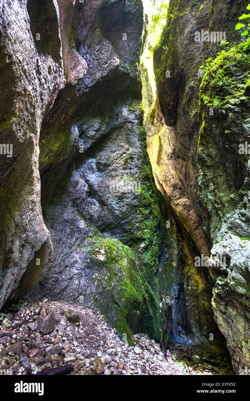 L'Sighistel Parc Naturel Apuseni de gorge en Roumanie Banque D'Images