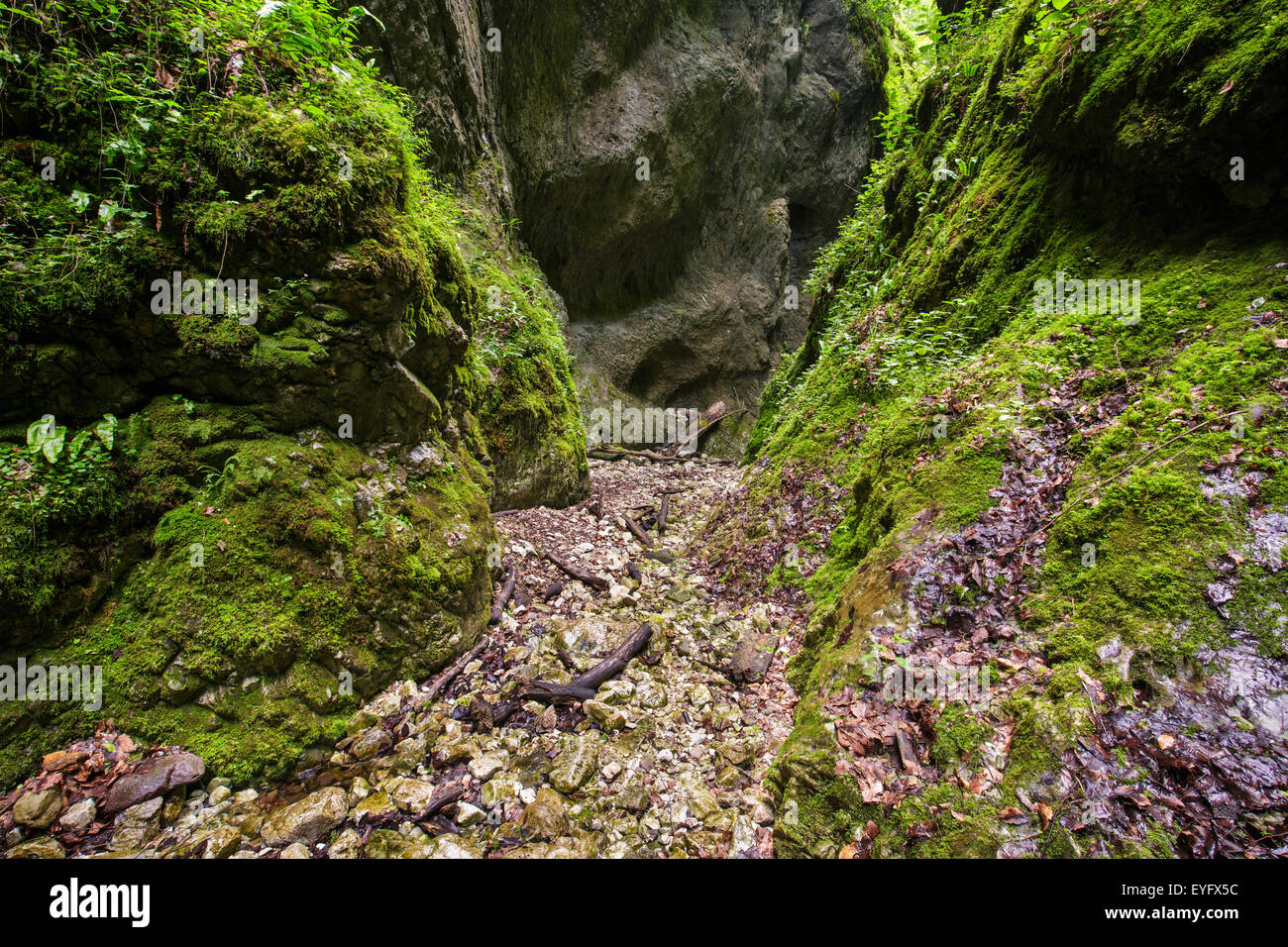 L'Sighistel Parc Naturel Apuseni de gorge en Roumanie Banque D'Images