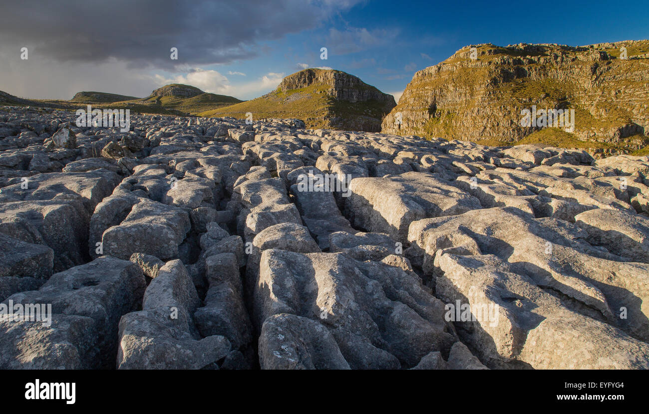 Le llmestone au-dessus de la chaussée, en Malham Cove les Yorkshire Dales est le meilleur exemple de l'érosion glaciaire dans le monde Banque D'Images