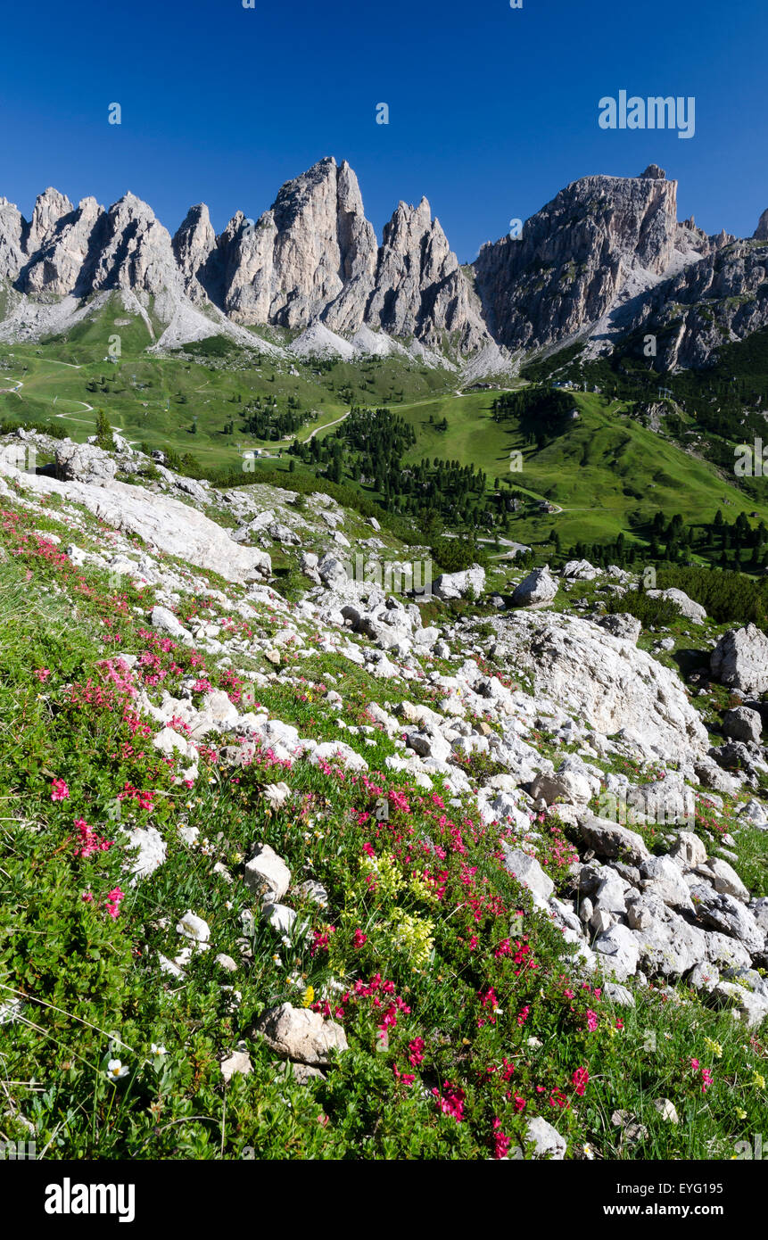 Italie DolomitesGardena Grödner Joch Pass entre Vallée de Gardena et Badia bg.:montagnes Cir et col. fg. : Hairy Banque D'Images