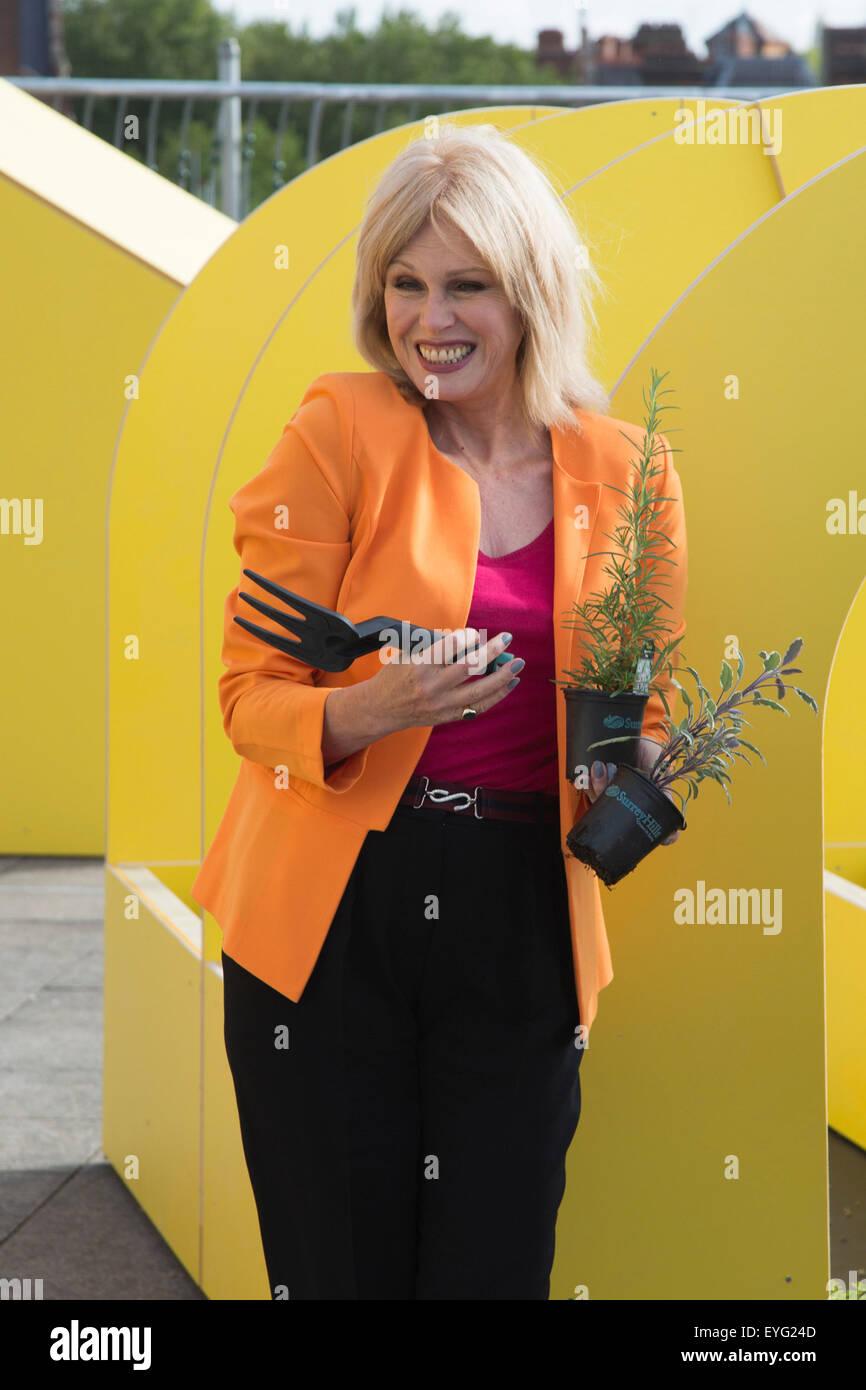 Londres, Royaume-Uni. 29 juillet 2015. Sur la photo : Joanna Lumley travaillant sur une aire de répartition. L'actrice Joanna Lumley et Marks & Spencer chef Marc Bolland lancer de nouveaux M&A quelque chose de bon de l'initiative 'Spark', qui vise à inspirer la nation à donner du temps à leurs collectivités locales. Les deux se tenait sur un toit non utilisés s'apprête à devenir une communauté de jeu. C'est l'un des 24 projets qui seront transformés dans toute la capitale en seulement 24 heures par M&S des employés, des clients et de la communauté locale. Photo : Nick Savage/Alamy Live News Banque D'Images