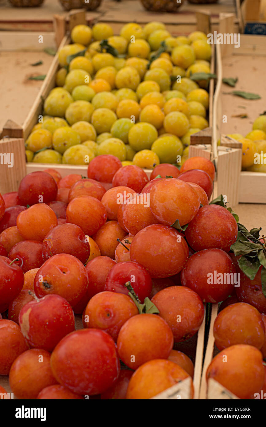 Les prunes rouges frais mûrs dans un marché. Banque D'Images