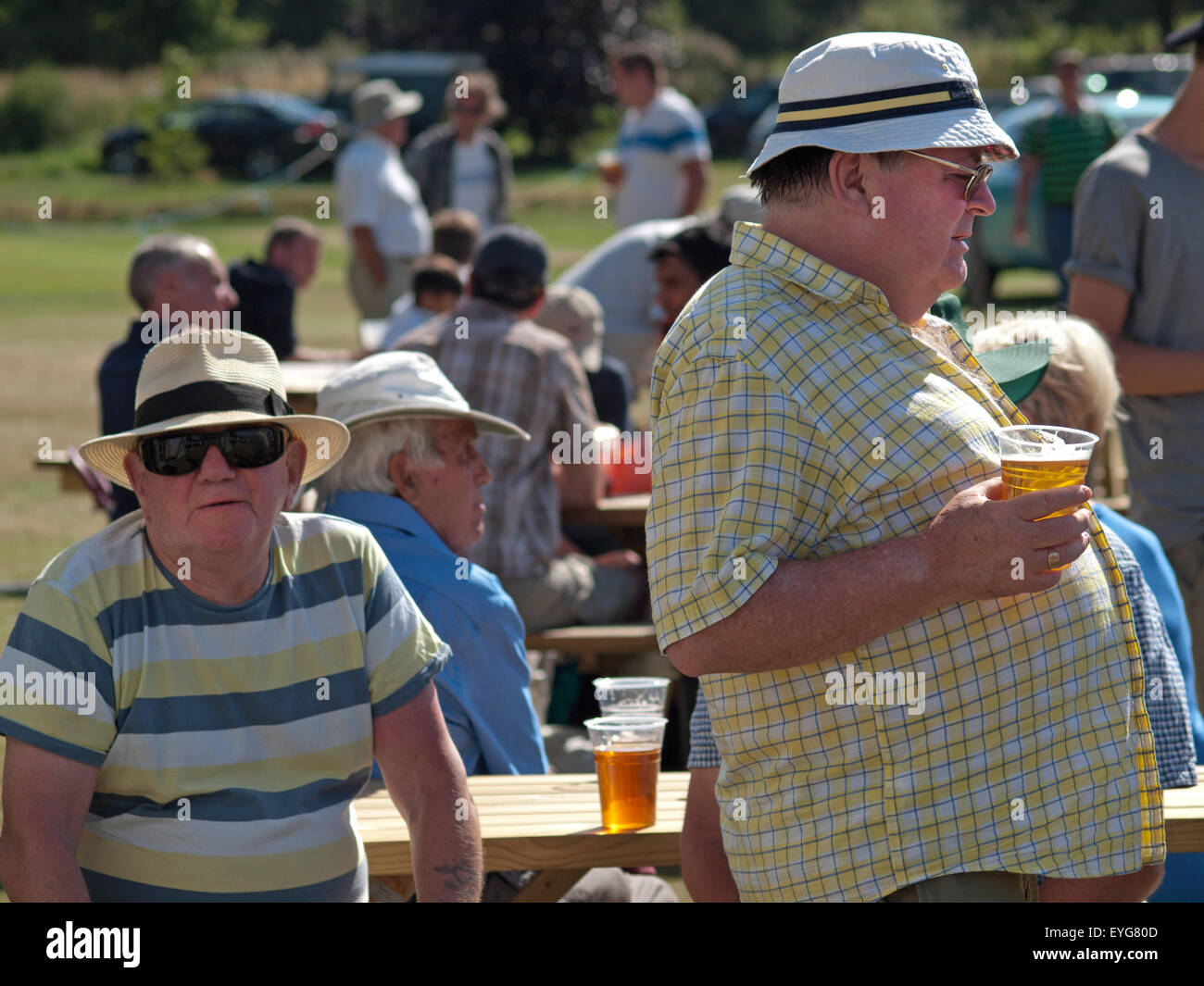 Les amateurs de cricket anglais aiment regarder leur jeu sur une journée ensoleillée à West Sussex Banque D'Images