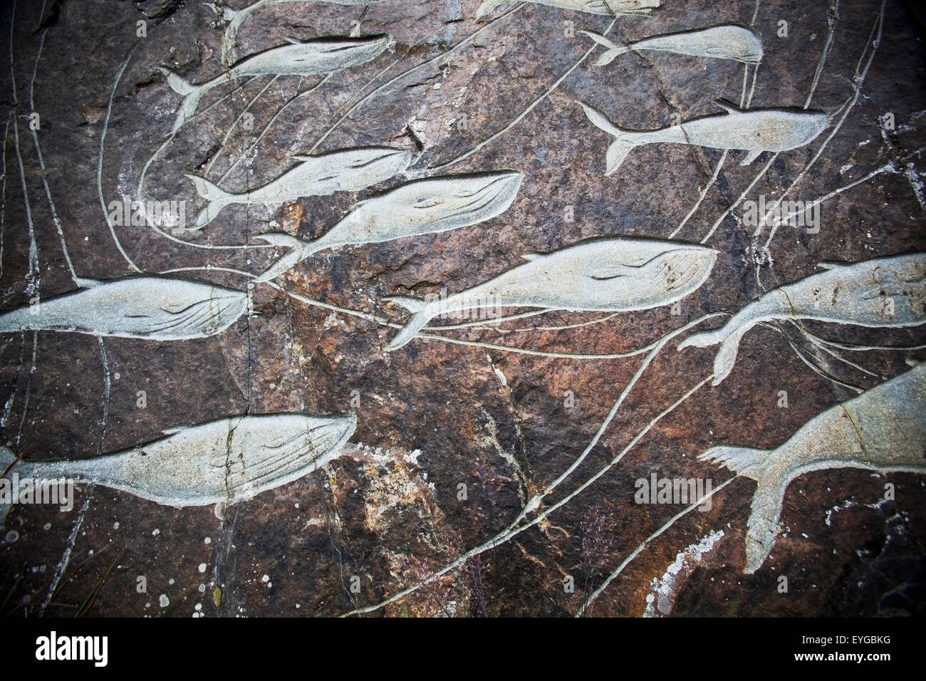 Le Danemark, le Groenland, les sculptures des baleines sur les rochers ; Qaqortoq (Julianehab) Banque D'Images