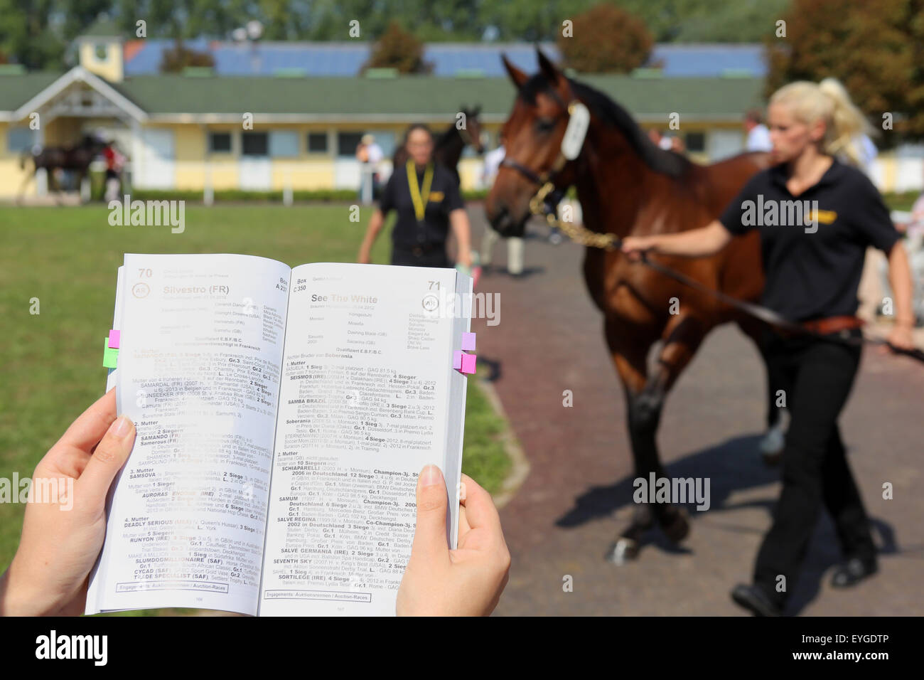 Iffezheim, Allemagne, Symbolfoto, vente aux enchères de chevaux Banque D'Images