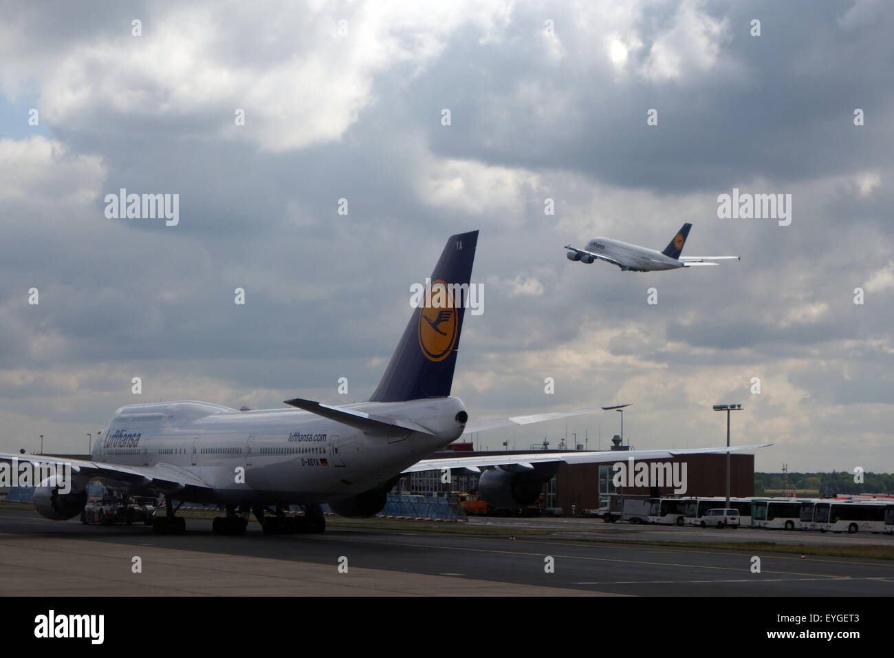 Frankfurt am Main, Allemagne, Boeing 747-8 Lufthansa sur le tarmac de l'aéroport de Francfort Banque D'Images