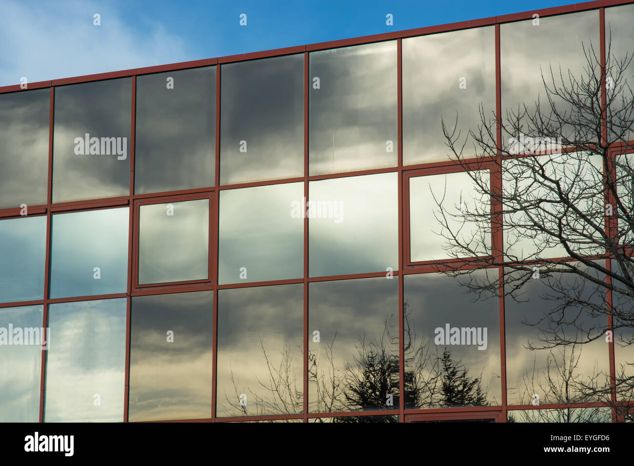 Sky reflète dans la paroi en verre d'un immeuble de bureaux Banque D'Images