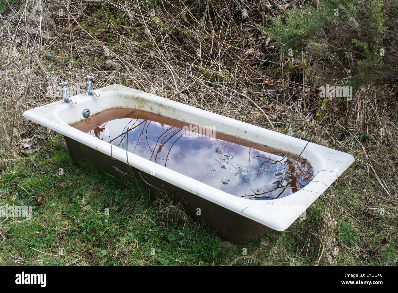 Ancien bain utilisé comme un abreuvoir pour chevaux Photo Stock - Alamy