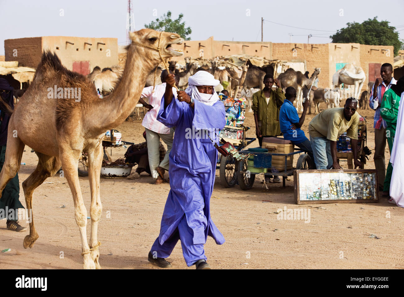Le Niger, la région de l'air, Touareg homme portant des vêtements traditionnels avec de l'élevage de chameaux ; marché Agadez Banque D'Images