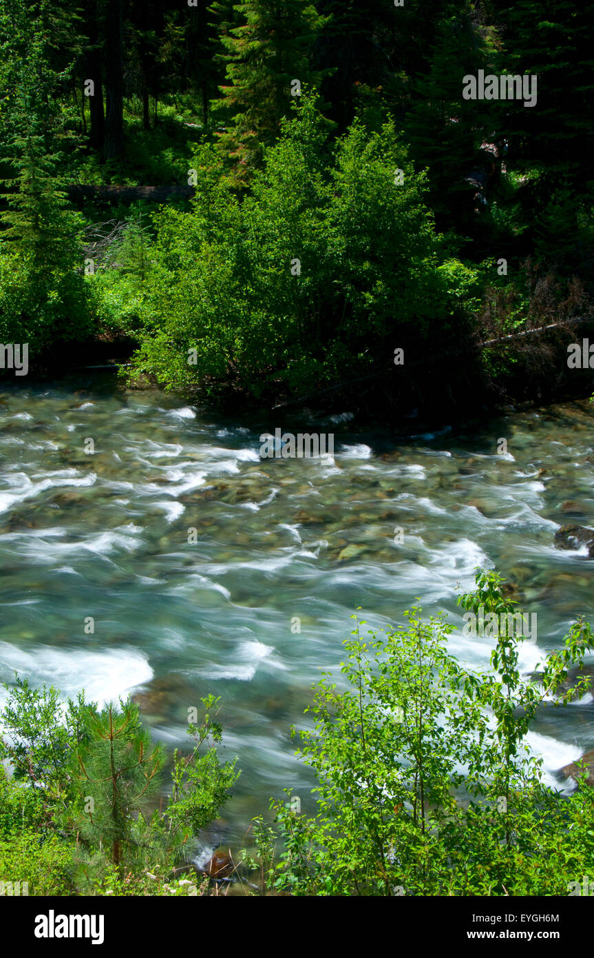 Imnaha Wild and Scenic River le long de Imnaha River Trail, Hells Canyon National Recreation Area, New York Banque D'Images