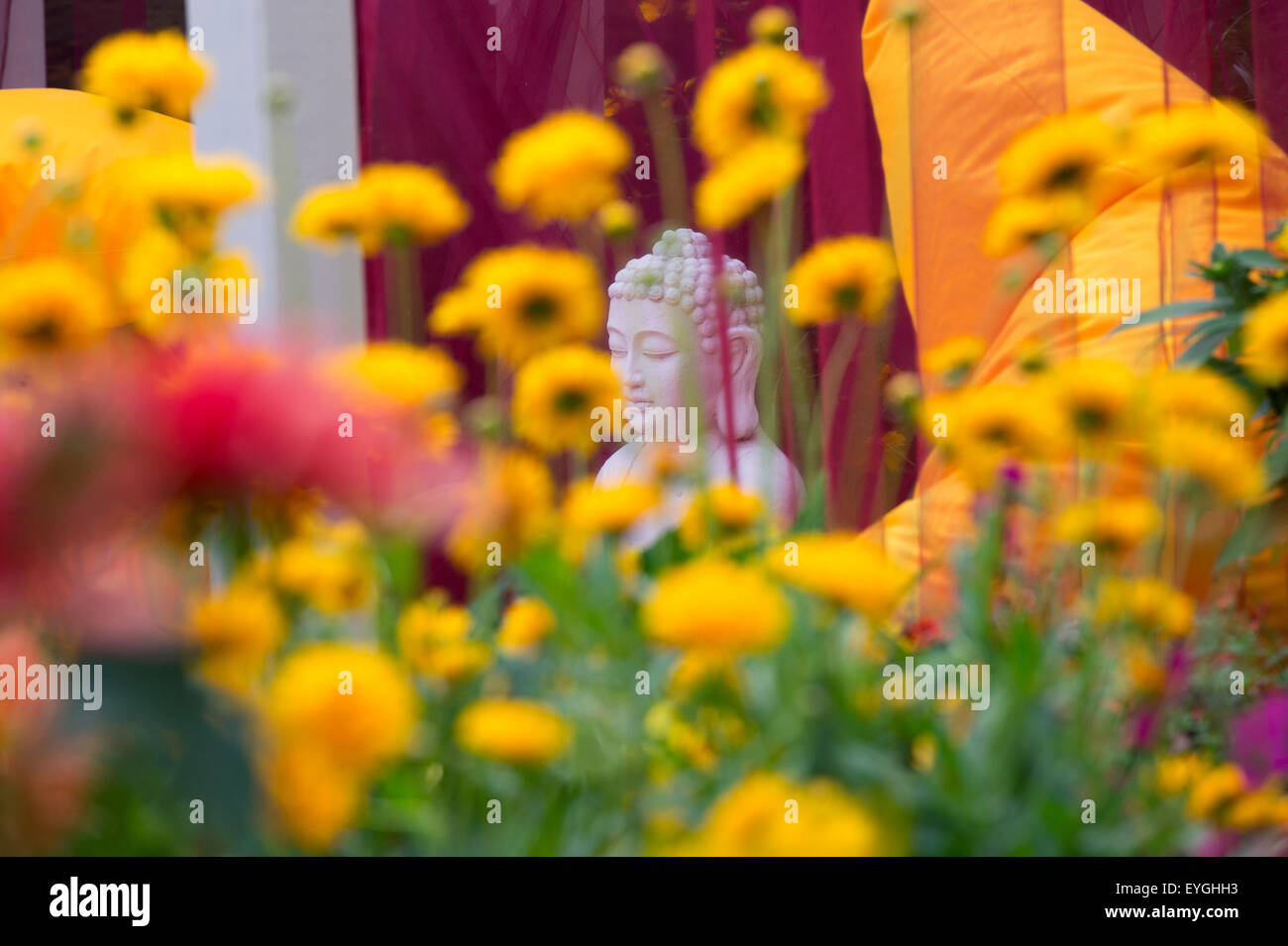 Statue de Bouddha dans le jardin un spectacle au jardin jardins Ball Colegrave Journée Portes Ouvertes 2015. Adderbury, Banbury, Oxfordshire, Angleterre Banque D'Images