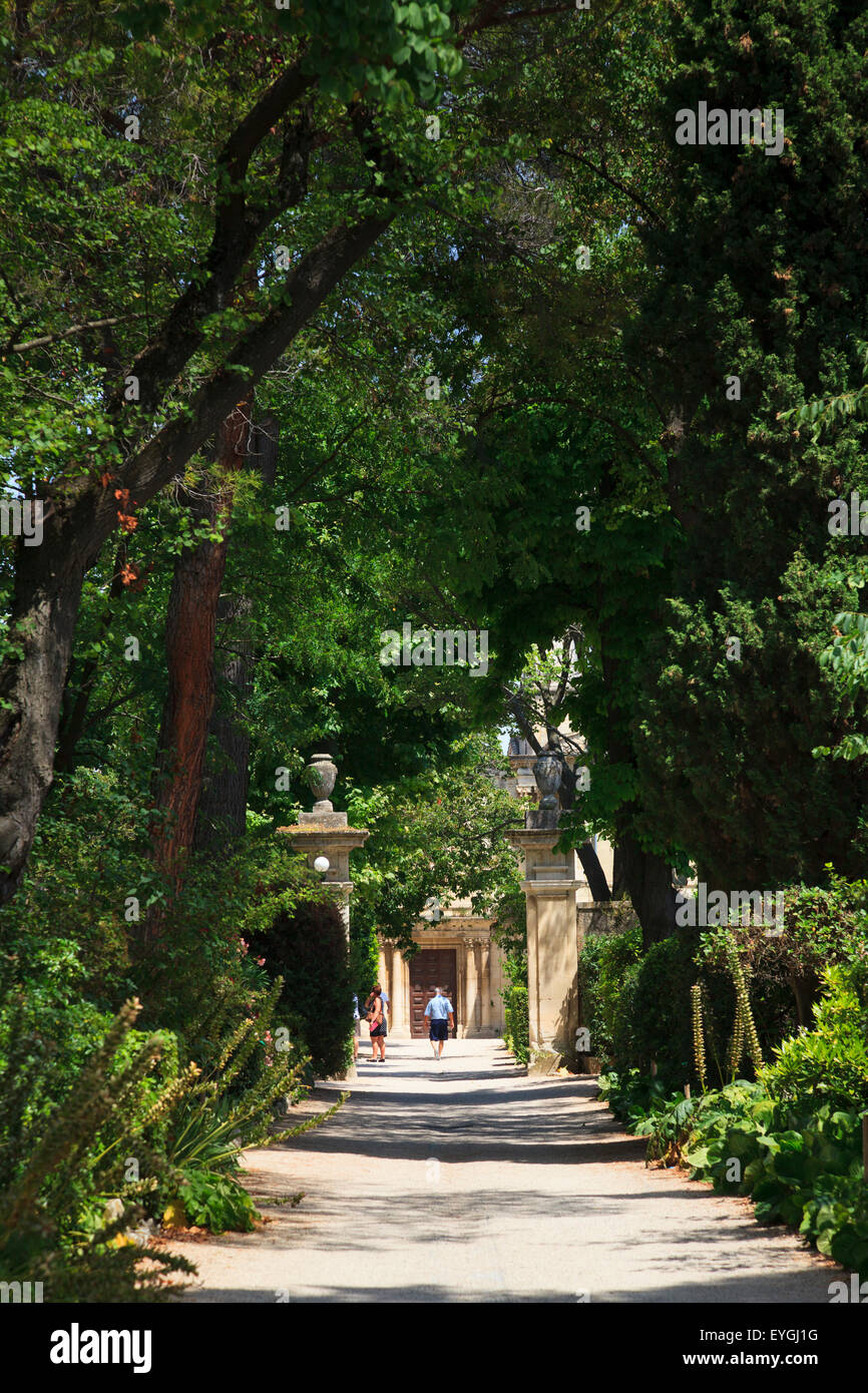 Chemin bordé d'arbres à la maison de santé Saint Paul à Saint Rémy Banque D'Images