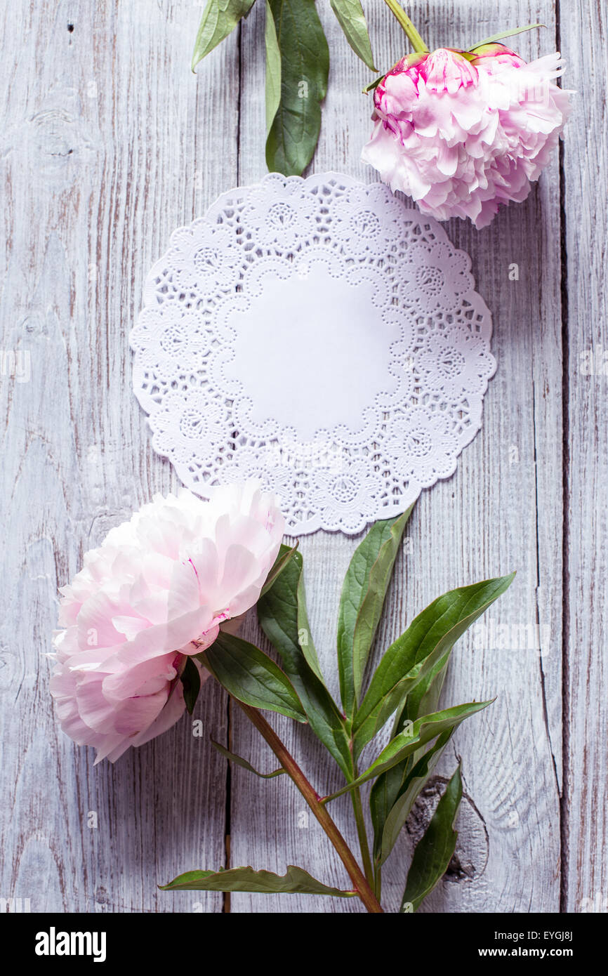 Belles fleurs de pivoines rose sur fond de bois Banque D'Images