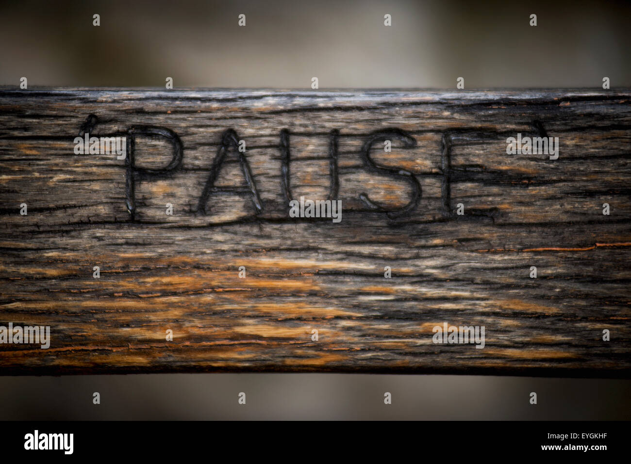 UK, Londres, détail de mot pause sculpté en banc en bois à Richmond Hill, Richmond Banque D'Images