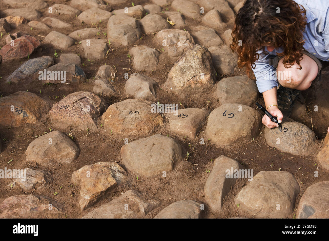 Au sud ouest de l'Ethiopie, vallée de l'Omo, dans le sud de l'Mursiland, femme l'écriture des chiffres de pierres ; Dirikoro kulugto première ailoche Banque D'Images