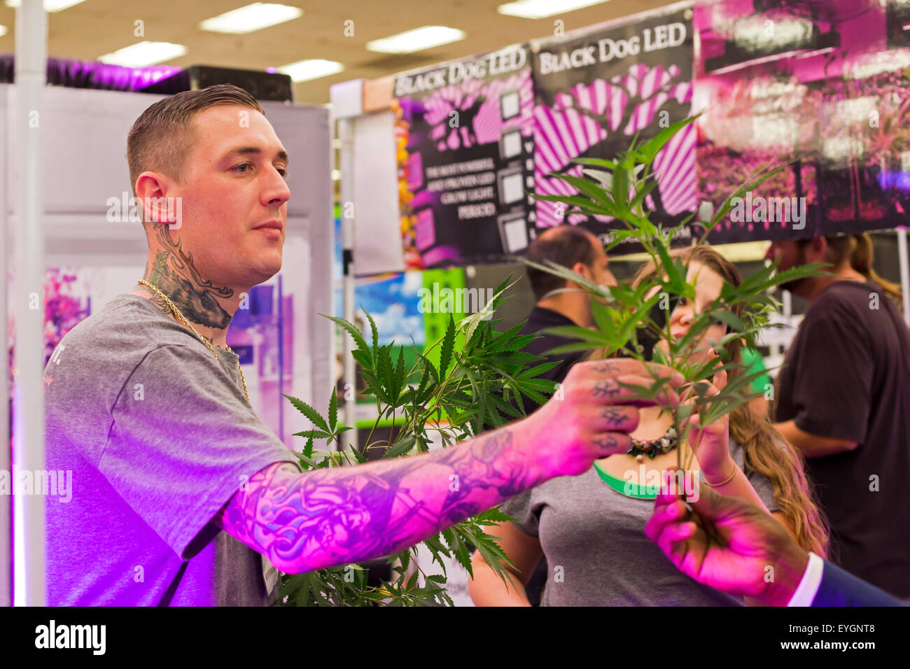 Denver, Colorado - Un vendeur de croître les lumières à l'INDO Expo, un salon commercial de la marijuana. Banque D'Images