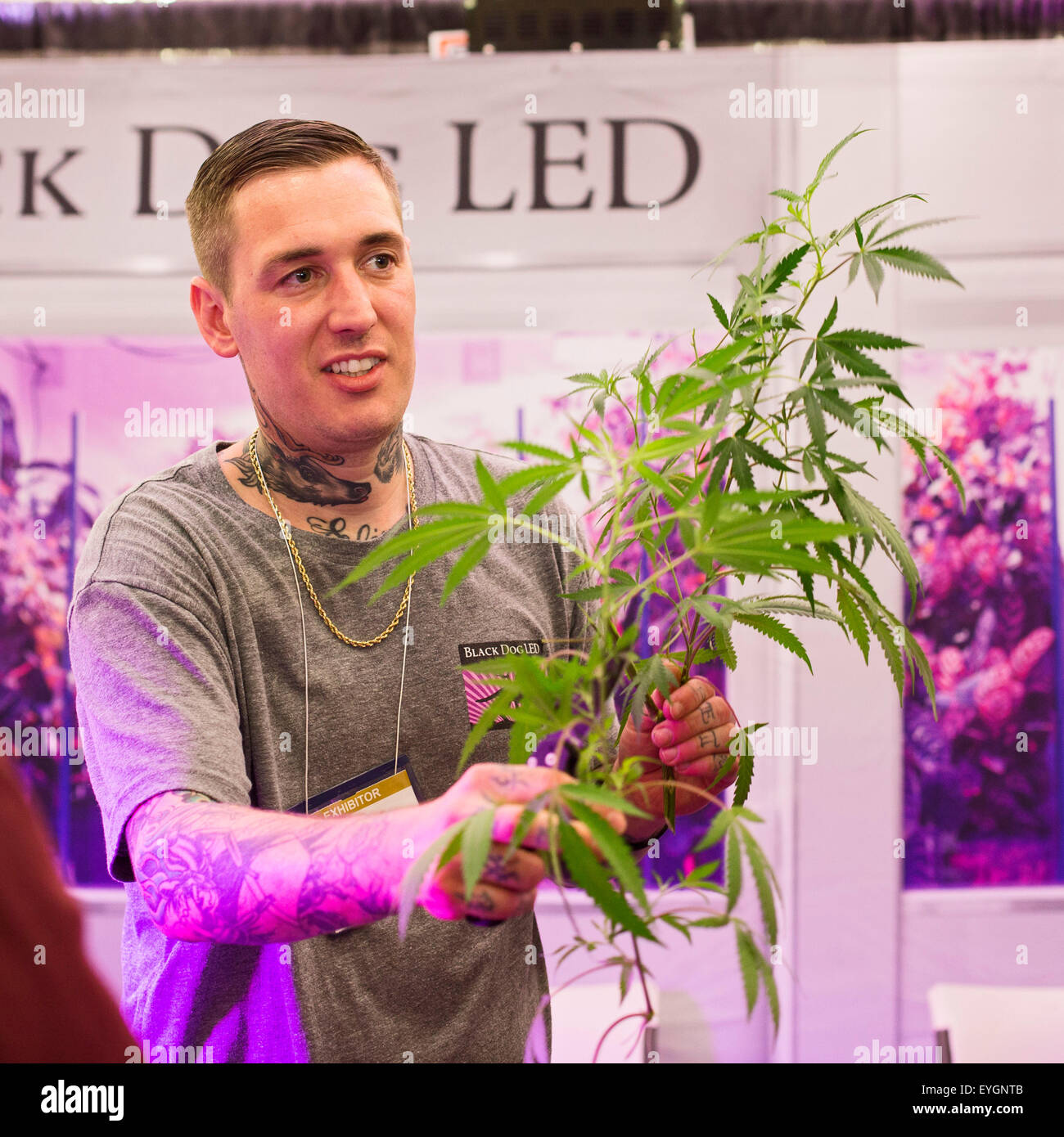 Denver, Colorado - Un vendeur de croître les lumières à l'INDO Expo, un salon commercial de la marijuana. Banque D'Images