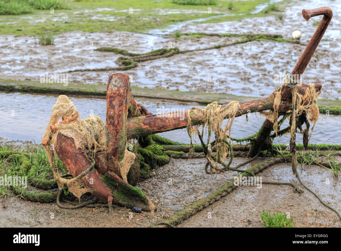 Une ancre rouillée à marée basse, port de l'usine de l'axe, sur la rivière Orwell, du south Suffolk, East Anglia, Angleterre, Grande-Bretagne, Royaume-Uni. Banque D'Images