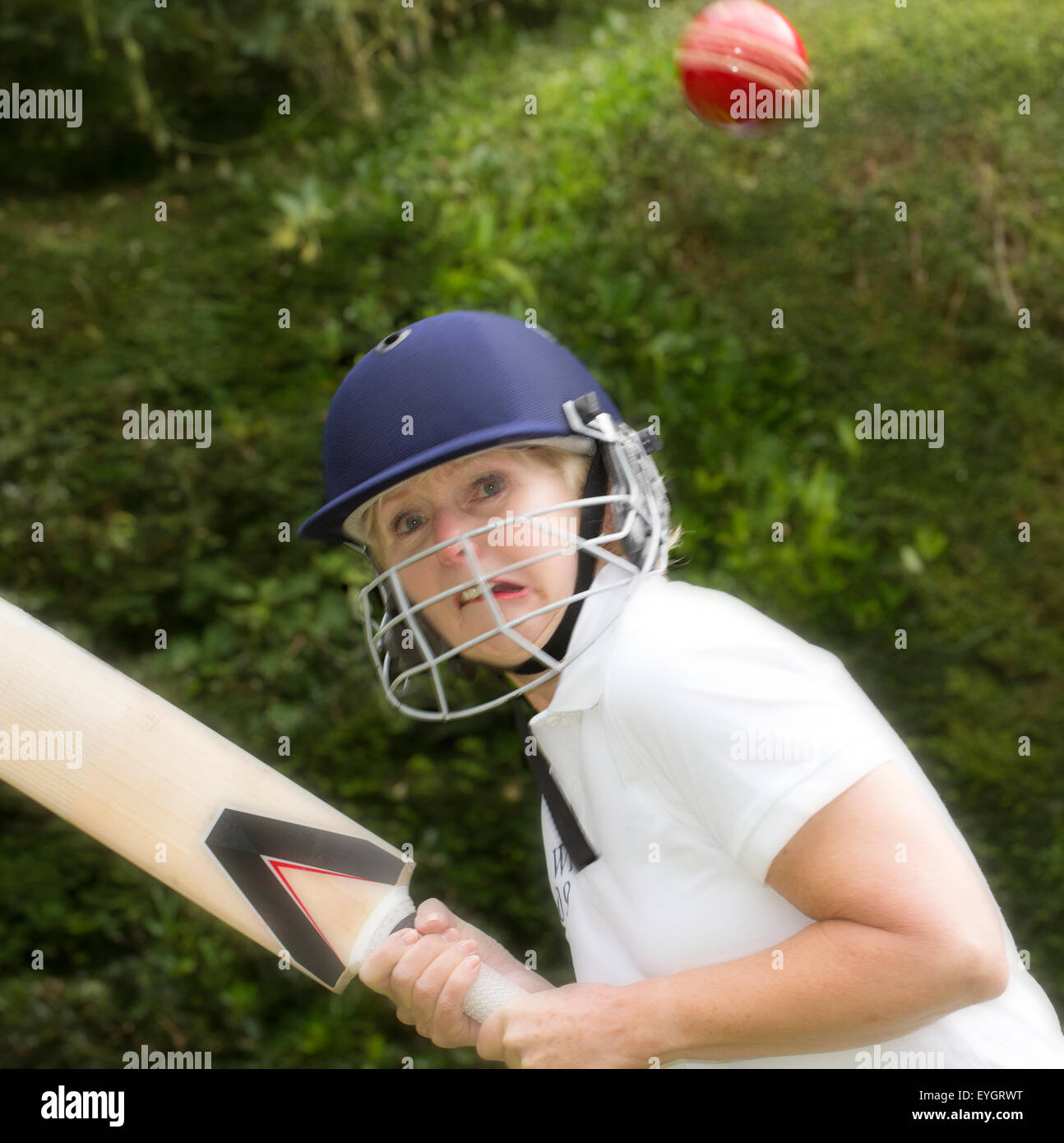 Femme âgée cricketer portant un casque de sécurité jouer au cricket Banque D'Images