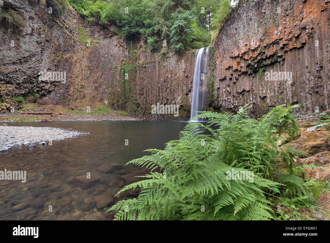 Abiqua Falls avec Bracken fougères par la ville de Scotts Mills off road doigt tordu dans le comté de Marion dans l'Oregon. Banque D'Images