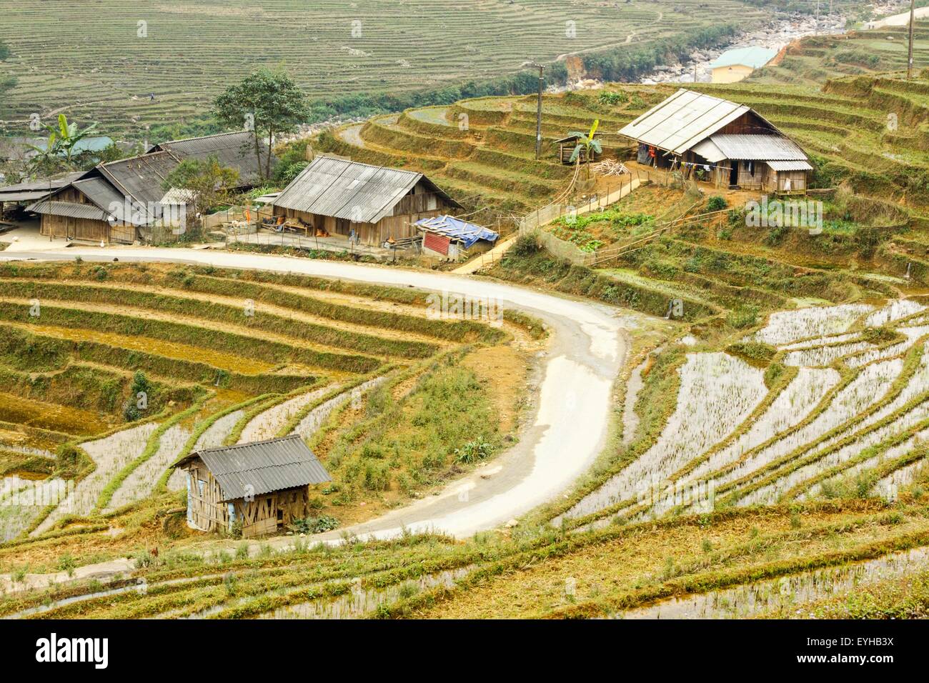 Rizières en terrasse dans le village de Tavan SAPA, Vietnam. Banque D'Images