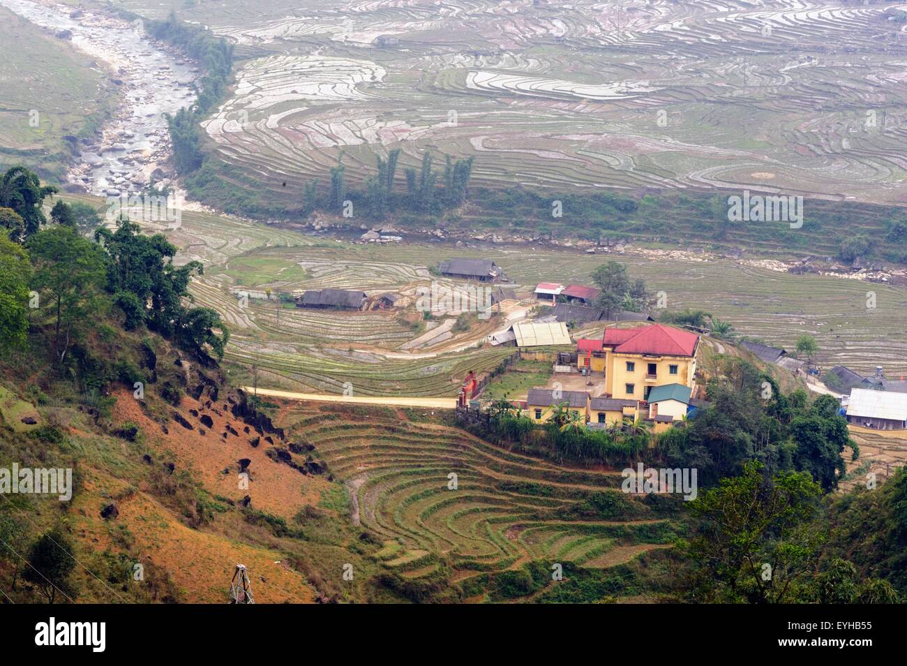 Les terrasses de riz de courbe dans le village de Tavan SAPA, Vietnam. Banque D'Images