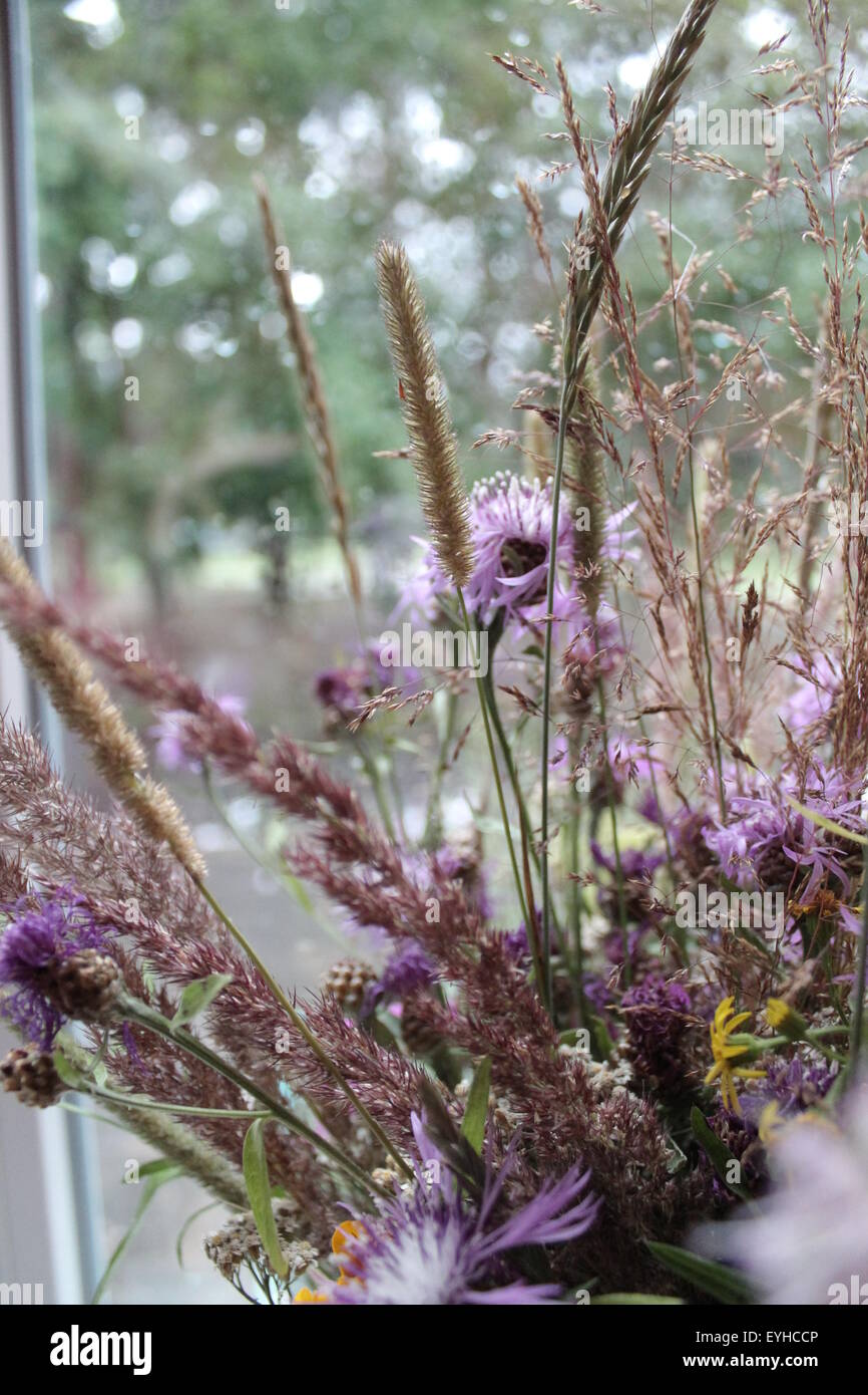 Herbes et fleurs sauvages dans un beau bouquet sur la fenêtre Banque D'Images