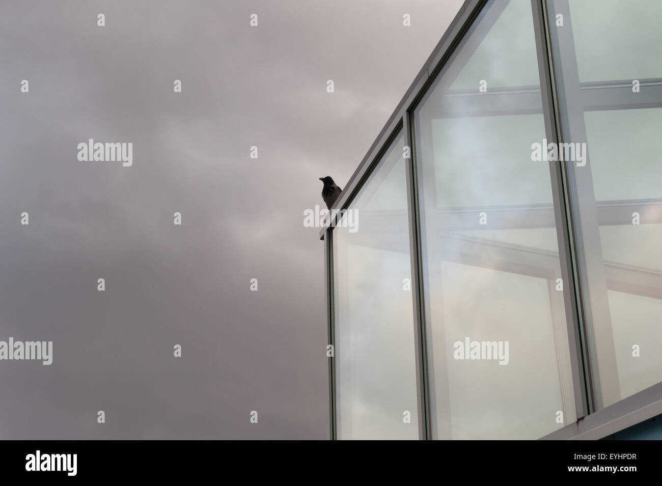 Berlin, Allemagne, Dole sur le toit de l'Betriebskindertagesstaette Le Bundestag Allemand Banque D'Images