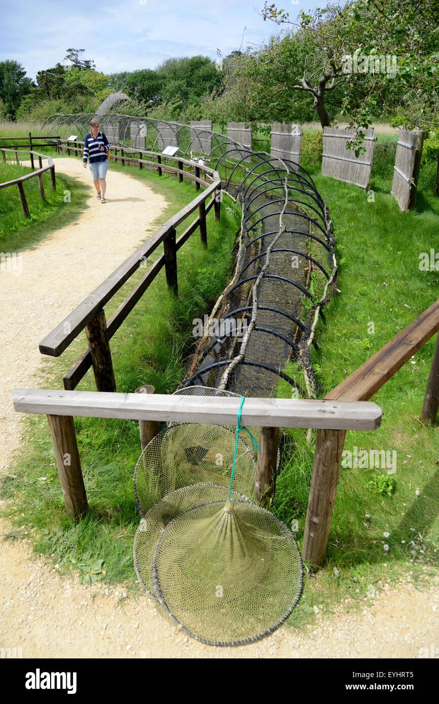 Abbotsbury Swannery, un canard ou un tube net leurres utilisés pour attraper les oiseaux aquatiques sauvages, Dorset, Angleterre, Royaume-Uni Banque D'Images