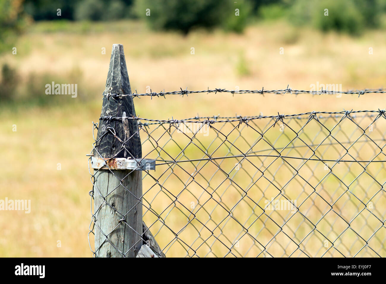 Un gros plan d'une clôture en bois avec du fil de fer barbelé Banque D'Images