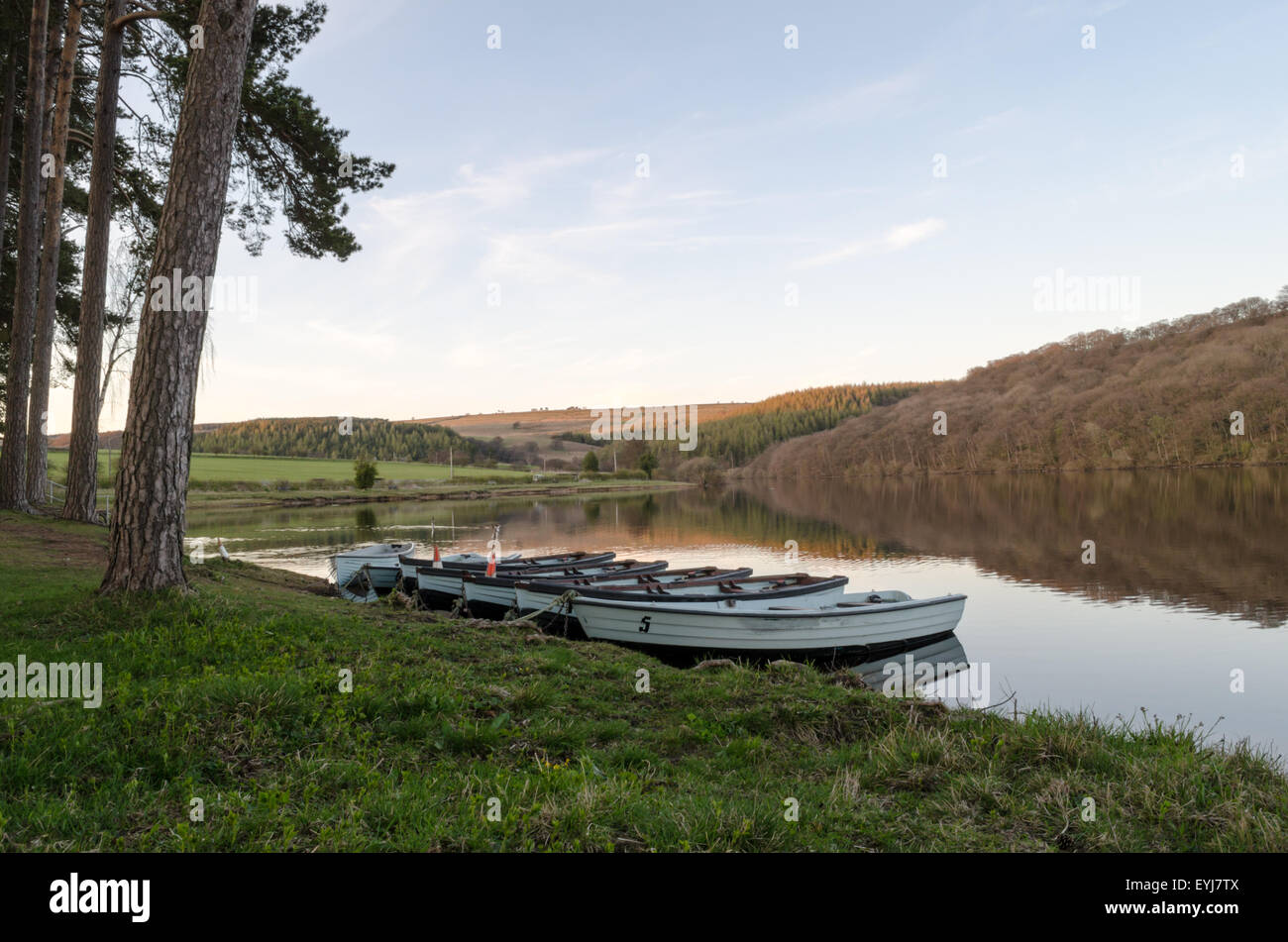 Bateaux à Tunstall réservoir, nr Weardale, County Durham Banque D'Images