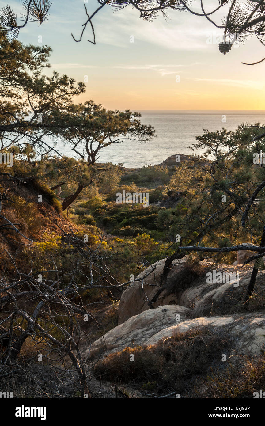 Coucher du soleil sur l'océan Pacifique à Torrey Pines State Park, Californie Banque D'Images