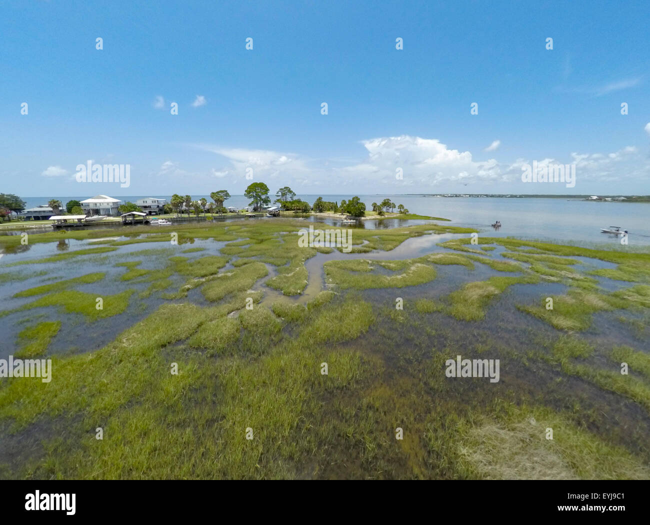 Dark Island, réserve aquatique de graminées de la mer de Big Bend, Floride Banque D'Images