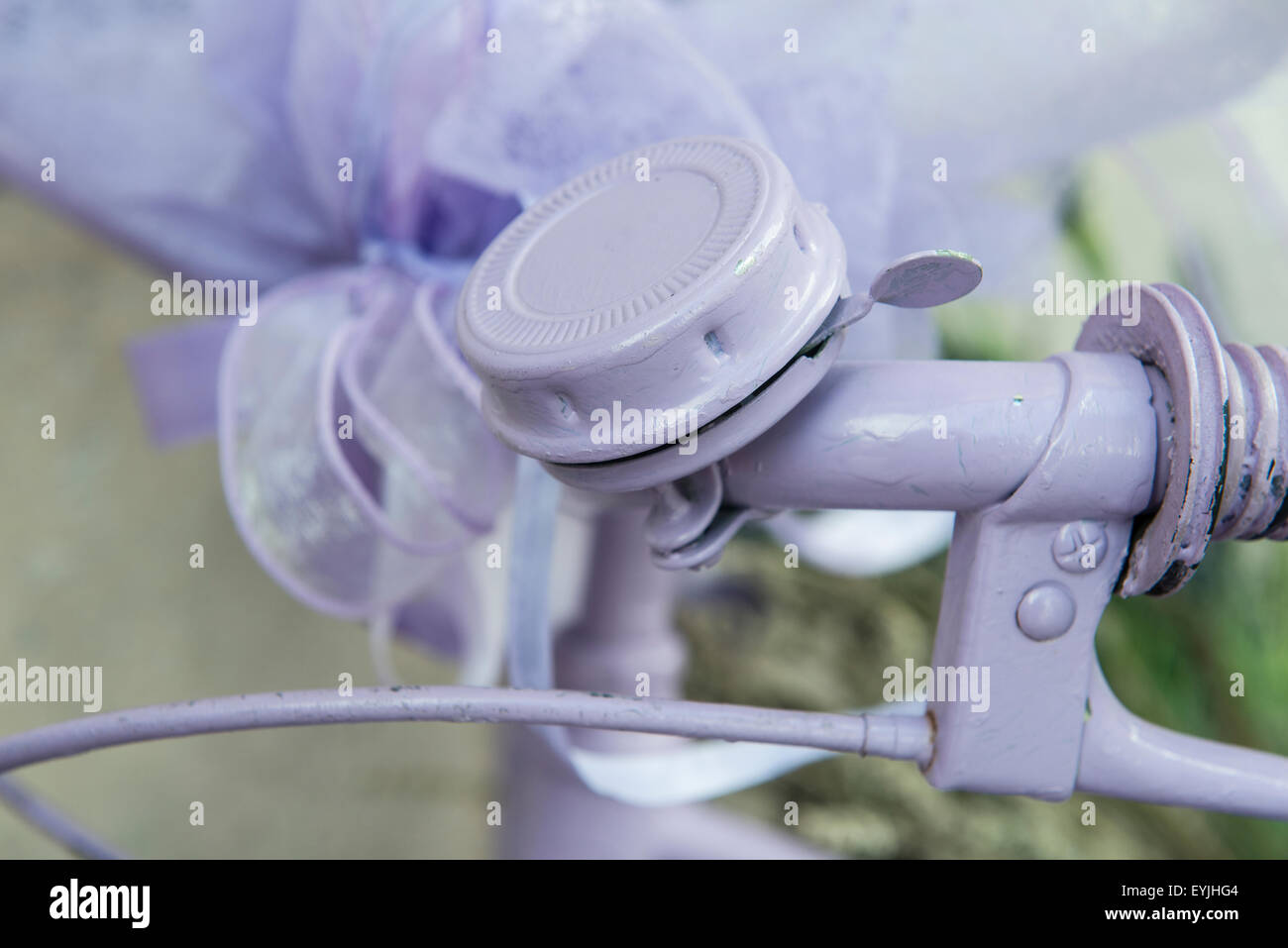 Un liliac Location Banque D'Images