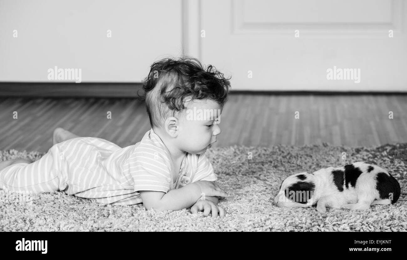 Portrait d'un bébé de 7 mois garçon à la maison. Banque D'Images