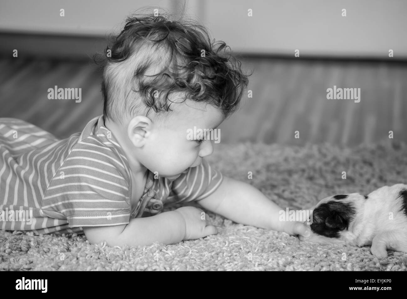 Portrait d'un bébé de 7 mois garçon à la maison. Banque D'Images