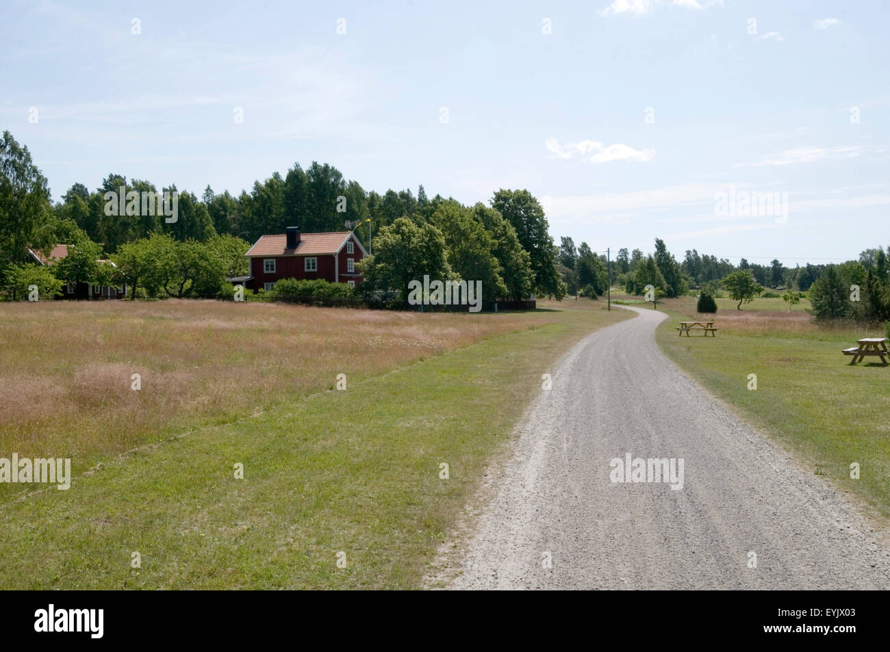 Route de gravier dans les régions rurales de la suède voie voies routes granit retour backroads rallye suédois Banque D'Images