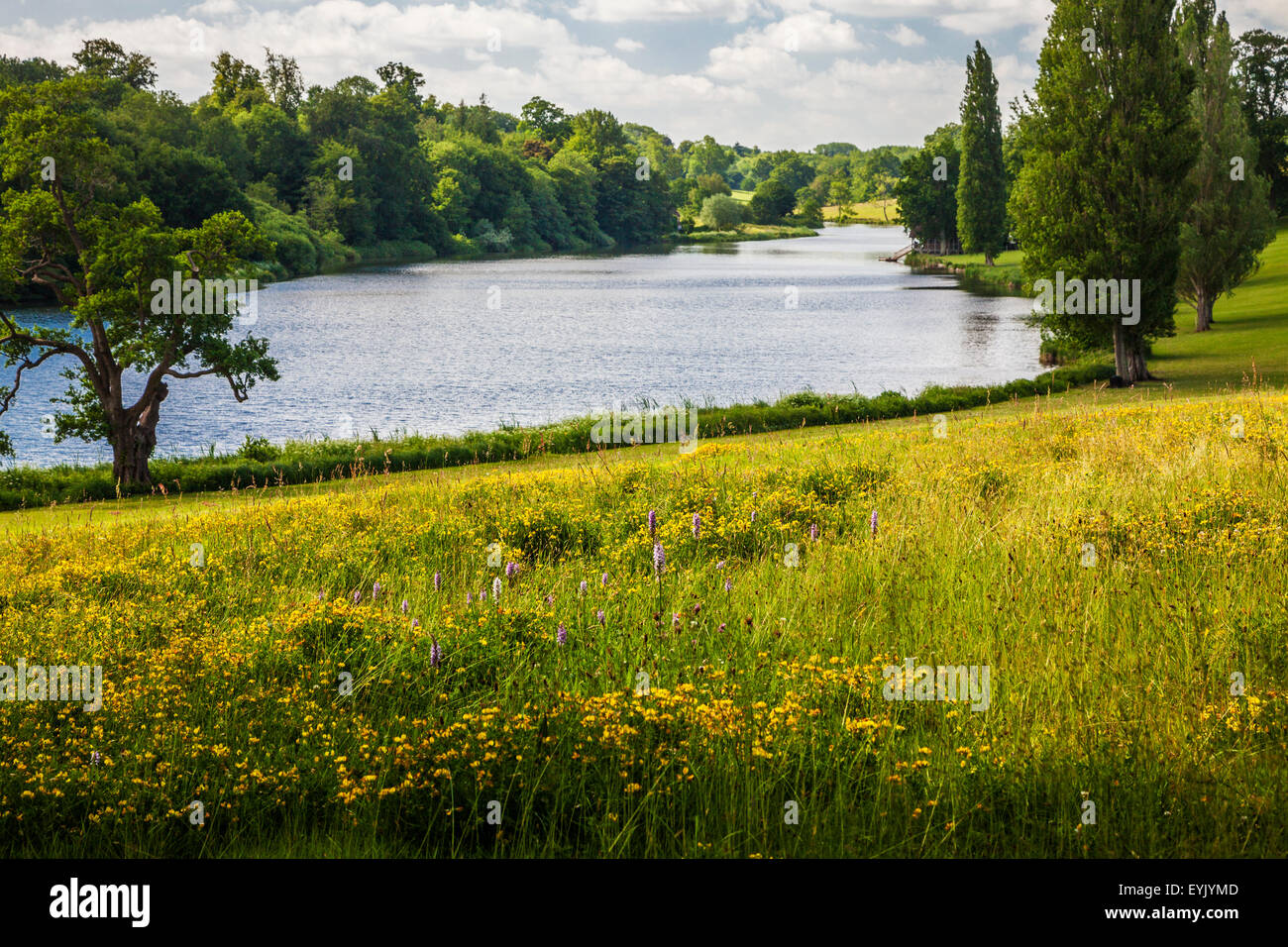 Vue sur le lac et le parc à Bowood House dans le Wiltshire en été. Banque D'Images