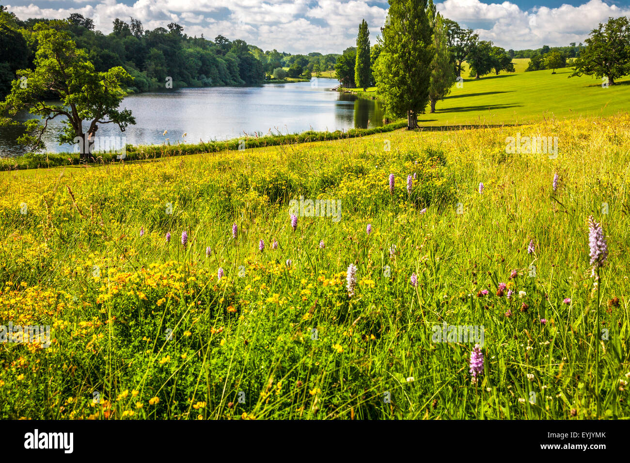 Vue sur le lac et le parc à Bowood House dans le Wiltshire en été. Banque D'Images