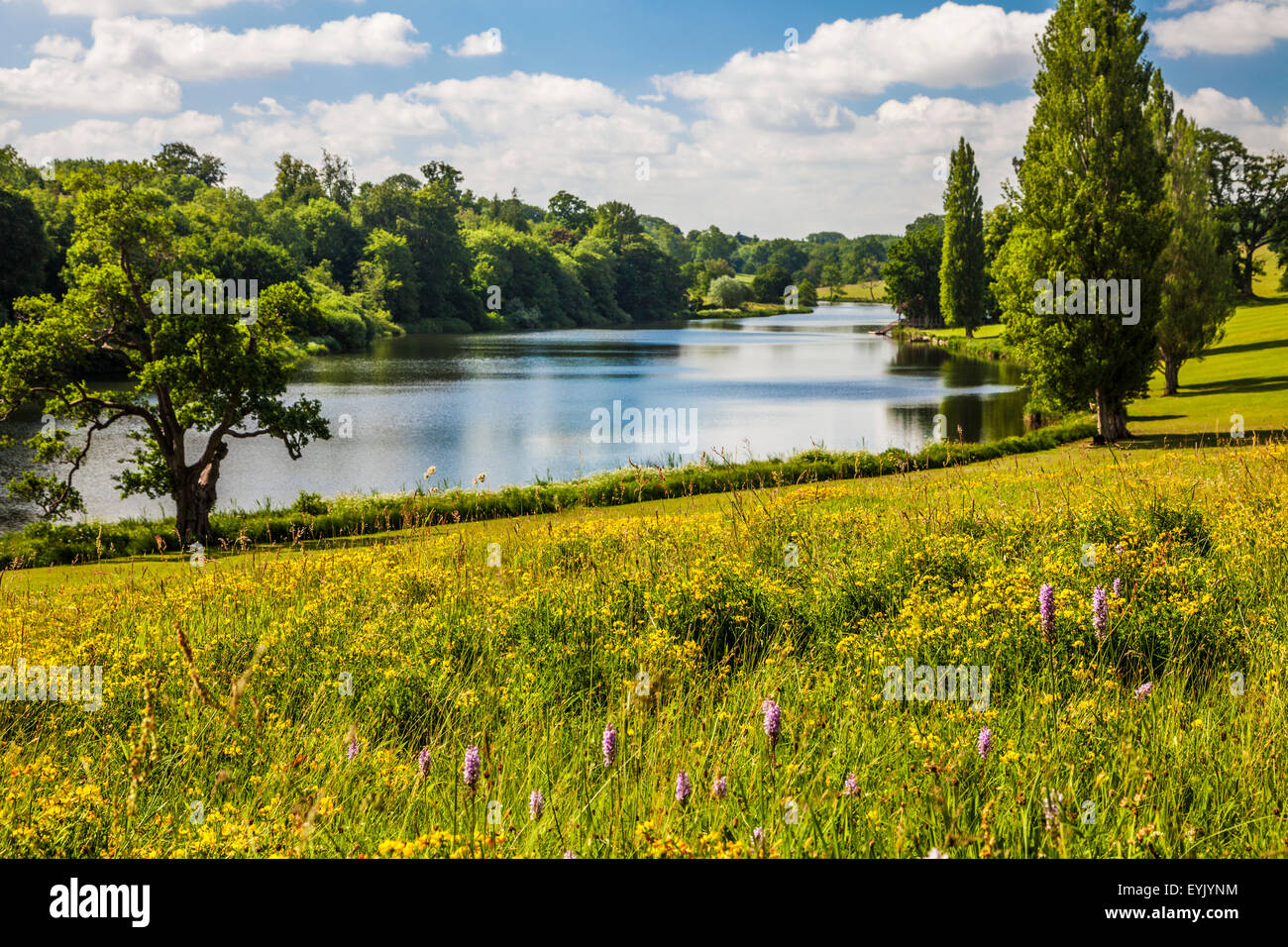Vue sur le lac et le parc à Bowood House dans le Wiltshire en été. Banque D'Images