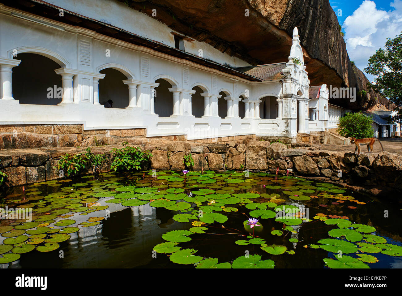 Sri Lanka, Ceylan, North Central Province, Dambulla Cave Temple Bouddhiste, Site du patrimoine mondial de l'UNESCO, Banque D'Images
